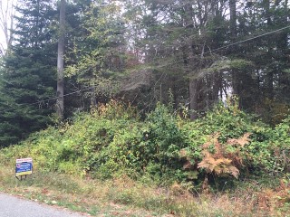 Picture of Point Roberts Parcel Number 415334-177198